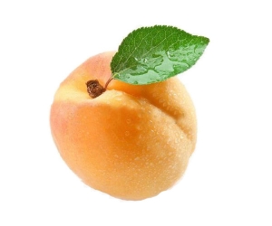 apricot-fruit-flavor5