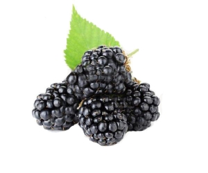 blackberry-fruits-flavor6