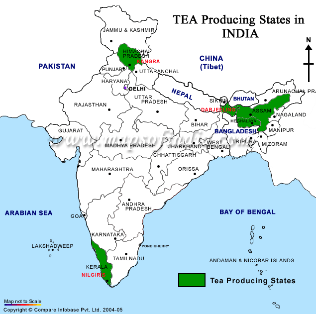 tea-production-india-map